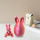 3D Printed Animal Surprise Eggs with Bunny Design 4