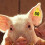 100 Pcs Animal ear tags with words D6I4 J3B8 6