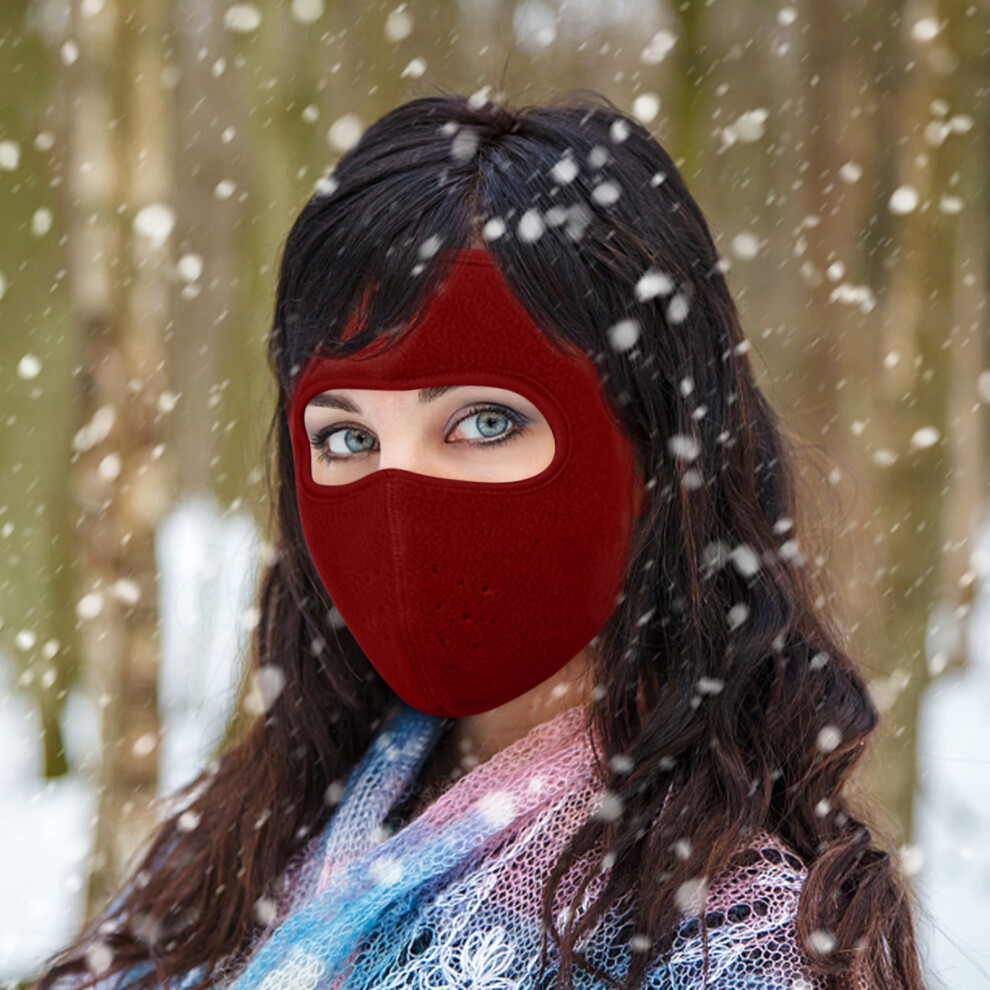 Balaclava Ski Mask Winter Face Cover Fleece-Lined Windproof 9132278388977
