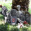 Skumgravstenmonument Halloweenträdgårdsprop 1 st 5