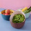 Plastic Vegetable Washing Basket Double-Layer 1 pcs 3