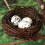 Topbathy 50Pcs Artificial White Foam Bird Eggs Simulation Design for Home Decor 4