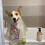 Capa para cães, à prova de manchas e com proteção para orelhas, ideal para cães de pequeno e médio porte. 4