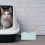 Litter Storage Container for Cat Accessories Plastic Blue 1Set Pet Owners Home Use 4