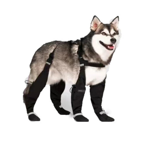 Dog Snow Suit with Built-in Boots, Waterproof, Adjustable 1
