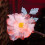 (Small) Chinese Hanfu Hair Clip Red Gradient Floral 4