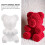 Bear Shaped Floral Foam for Craft Projects and Holiday Decorations 6
