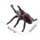 Realistic Fake Bug Toy Figures Educational Insect Toys 12pcs 2