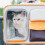 Safe And Durable Construction Easy Fold Design Soft And Comfortable Material Multiple Carrying Options Collapsible Pet Backpack Carrier Better 7