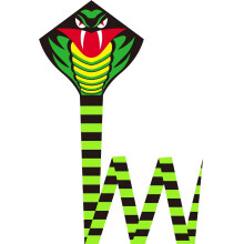 Large Loong Kites For Adults Kites for Beginner Snake Kites With Tail Easy to Fly Kites Toy Outdoor Toy Flying Toy