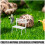 Mini Chairs Landscape 2 pcs 50x6x3 cm White 7