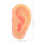 Halloween Prank Ears Realistic Simulation Prop 10 Pcs 2