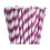 Carnival Disposable Tableware Set for 4 People 1