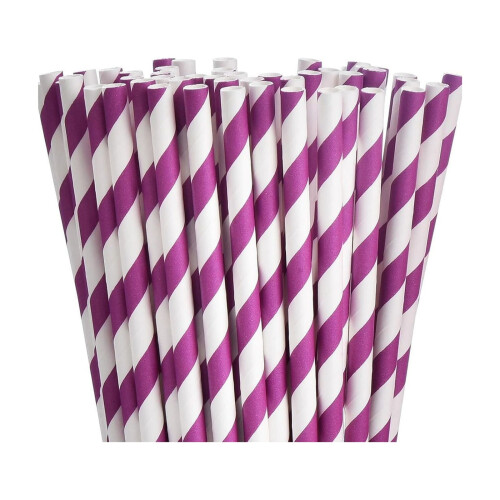 Carnival Disposable Tableware Set for 4 People