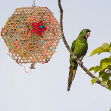 Small Bird Toy Woven Physical Stimulation 1 Pack