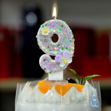 Digital Birthday Candle Multicolor Number Wax Decorative Cake Candle for Parties Weddings Anniversaries Celebration