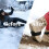 Ice Cleats for Walking Jogging Hiking Adjustable Non-Slip 5