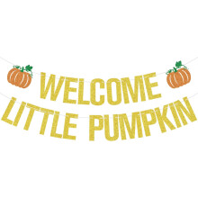 Kürbisbanner Herbstdeko für Thanksgiving und Babyparty