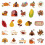 Thanksgiving Stickers Fall Decor 50 Pcs 3
