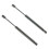 Trunk Lift Supports Rear Shock Struts Black 2 pcs for Ford 4