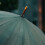 Black Rubber Umbrella Tip Covers 2 Pcs 4