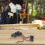 High Performance Trigger Switch for Cordless Drills Compatible with 21V 5