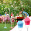 Automatic Bubble Machine Stand with Lights, Music & Night Light – Compatible with Firework Bubble Machines 4