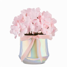 Valentine's Day Hydrangea Pot, Romantic Floral Gift for Loved Ones, Beautiful Décor for Home or Office, Minimal Care, for Anniversaries, Birthdays