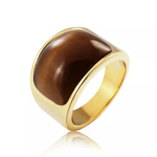 Men's and Women's Gold-Plated Stainless Steel Brown Stone