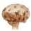 Premium Double-Layer Waterproof Shower Cap – Elegant Bow Design, Rose Gold 3