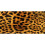 Animal Pattern Microfiber Beach Towel Square 2