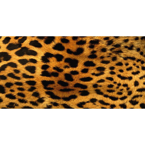 Animal Pattern Microfiber Beach Towel Square 1