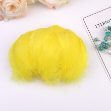 100PC Colorful Feathers 6-12 Cm In Small Feather Diy Decoration