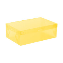 Skládací průhledný plastový organizér na botníky, stohovatelný a úsporný, 28x18,5x9,5 cm, kompatibilní se standardními skříněmi