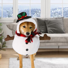 Cultacha Peataí Nollag Fear Sneachta Nollag Cultacha Lá Oíche Shamhna Éadaí Madraí Claochlú Scanrúil Cultacha Peataí Cait Maisiúcháin