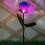 Ηλιακό μωβ φως τοπίου και πεζόδρομου LED 4