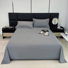 Solid Color Flat Sheet, Queen Size, Comfortable Skin-friendly Machine Washable Polyester Sheet