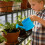 Μεταλλικό ποτιστήρι για χρήση στο σπίτι και τον κήπο με εργονομική λαβή για 2