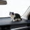 Elegant Vehicle Interior Sculpture with Air Purifying Function and Aromatherapy for Car 2
