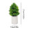 Christmas Tree Lights Artificial Flower Lamp 5