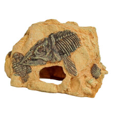 Fish Shelter House Fishtanks Hideouts Cave Aquariums Terrariums Basking Platform