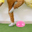 Balanstränare Halvboll Rosy PVC 15,5 cm 4