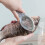 2 Pcs Kitchen Tweezers Fish Cleaning Tools Portable 8
