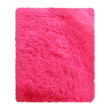Tapis lavable en machine 60 x 120 cm avec envers antidérapant – Tapis doux et contemporain pour salon, chambre, salle à manger, cuisine et bureau