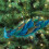 Artificial Blue Peacock Feathered Simulation Birds Christmas Tree Decorations 4
