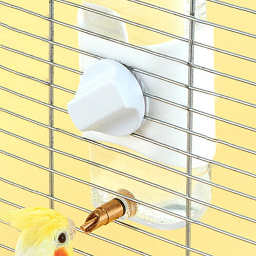 Bird Drinking Water Bottle Parrot Automatic Drinking Device for Budgie Cockatiel 2