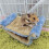 Double Layer Blue Small Pet Cage Hammock Bed Soft & Warm for Hamster Squirrel 12