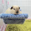 Double Layer Blue Small Pet Cage Hammock Bed Soft & Warm for Hamster Squirrel 14