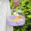 Mini Birdcage Portable Handheld Cage for Small Birds Parrots 6