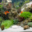 Luftsstein- Blasendiffusor Für Aquarium Fischtank Teich 5